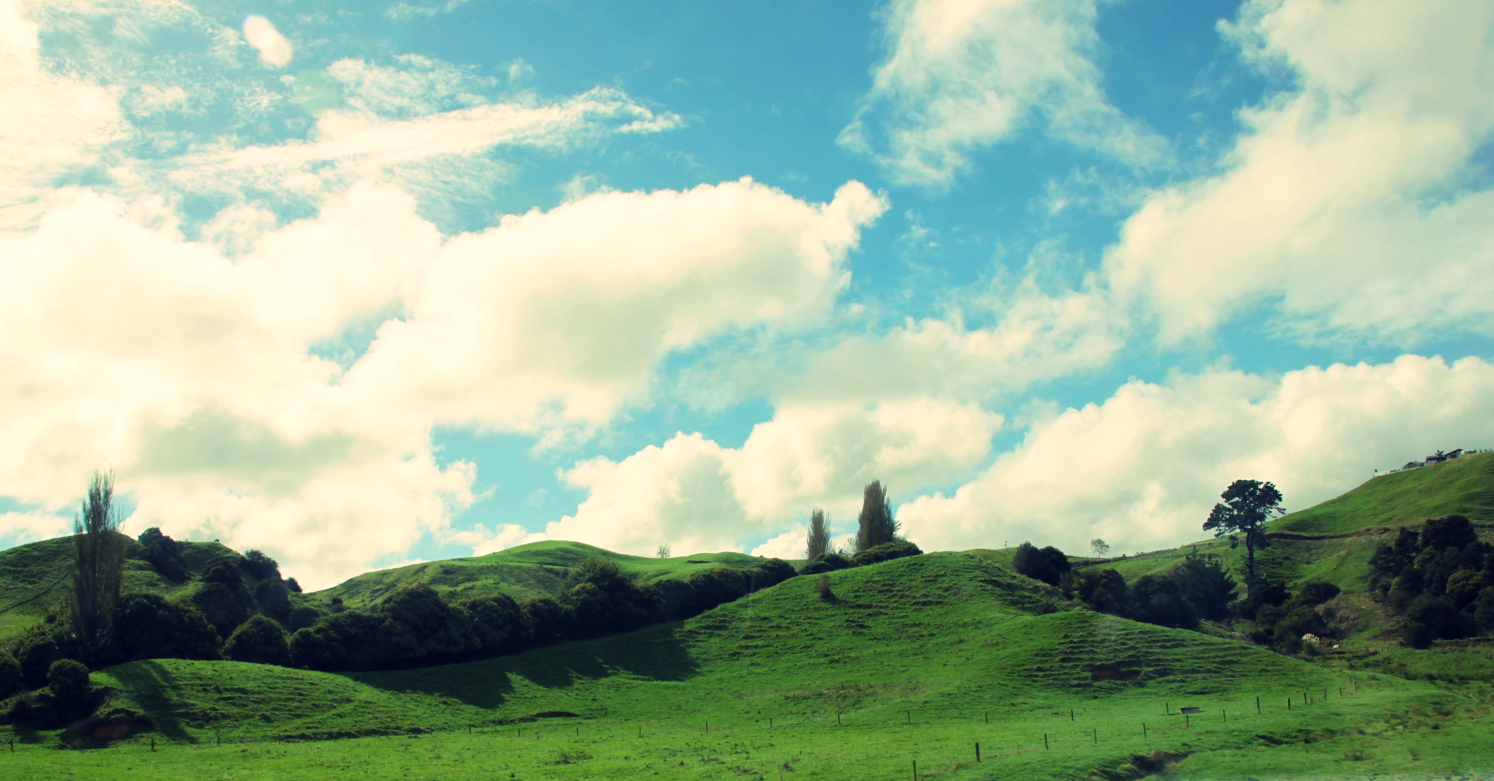 Rolling green hills with bright blue clouded sky, near Auckland, New Zealand